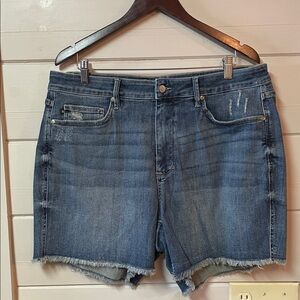 Judy Blue High-Waisted Tummy-Control Denim Shorts Frayed Cut-off Hem Size 2XL